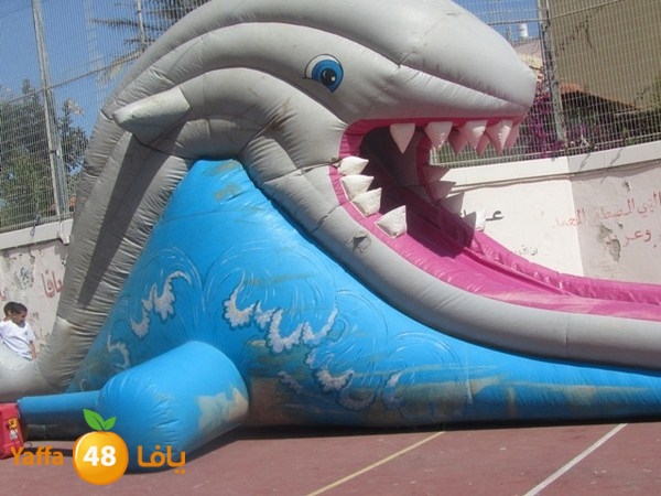 nady islamy mokh (6).JPG